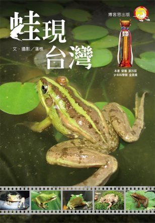 蛙現台灣封面-博客思網路書店暢銷書